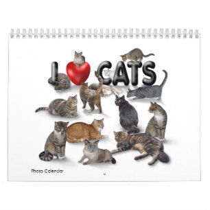 J'aime Chats 😻 Calendrier