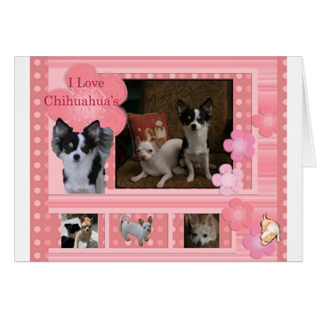 J'aime Chihuahuas (Devant horizontal)