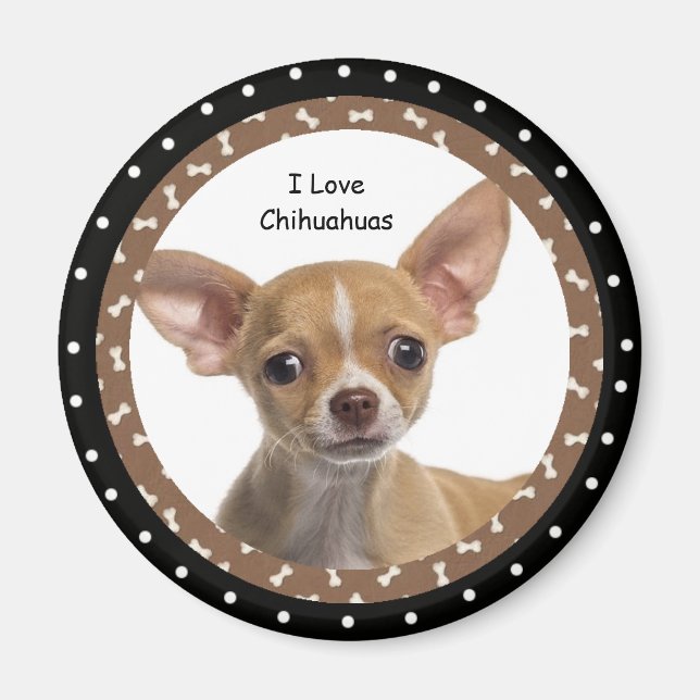 J'aime Chihuahuas 2 Magnet (Devant)