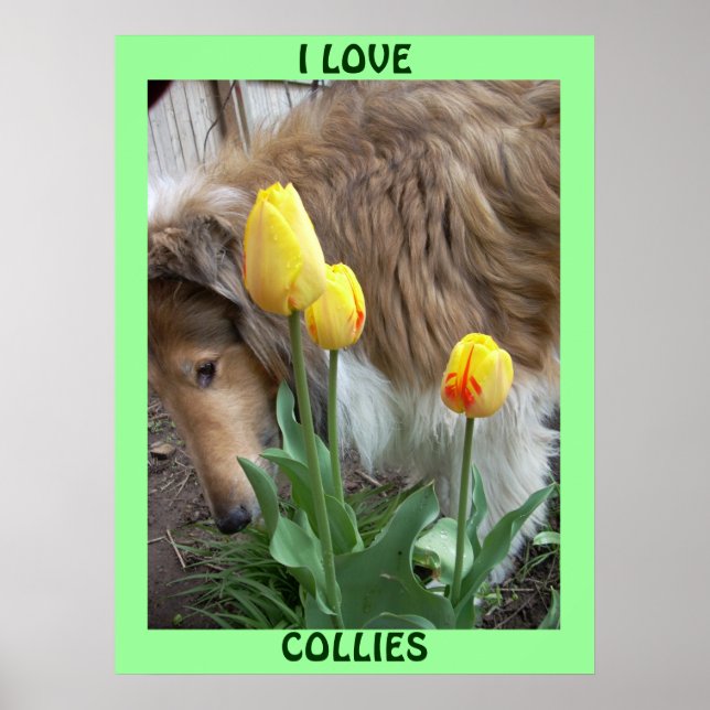J'AIME COLLIERS POSTER (Devant)