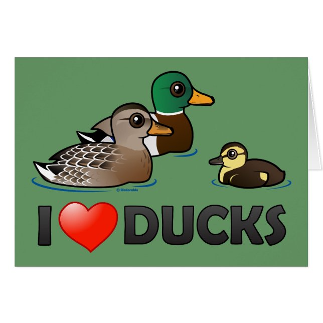 J'aime des canards (Devant horizontal)