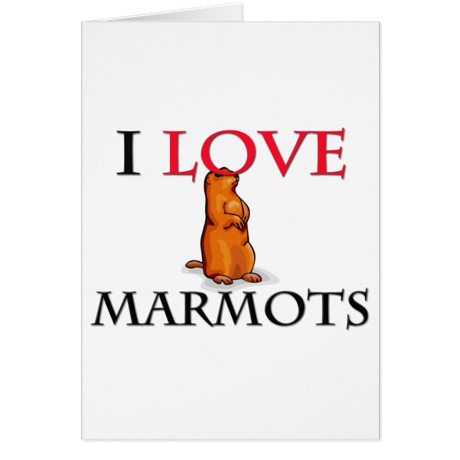 J'aime des marmottes (Devant)