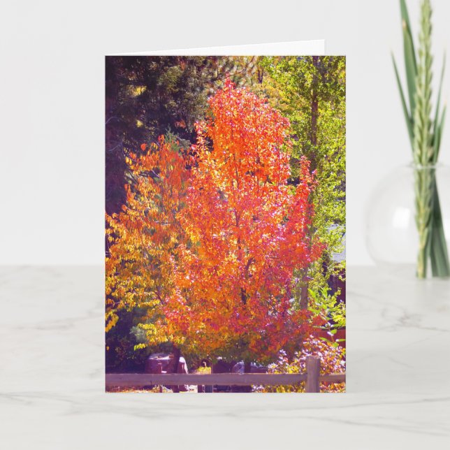 J'aime la carte d'automne (Devant)