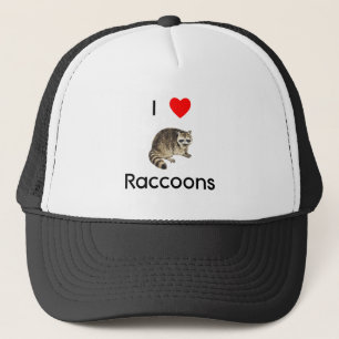 J'aime le casquette de ratons laveurs