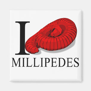 J'aime le magnet de mille-pattes