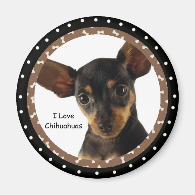J'aime le Magnet du Chihuahuas (Devant)