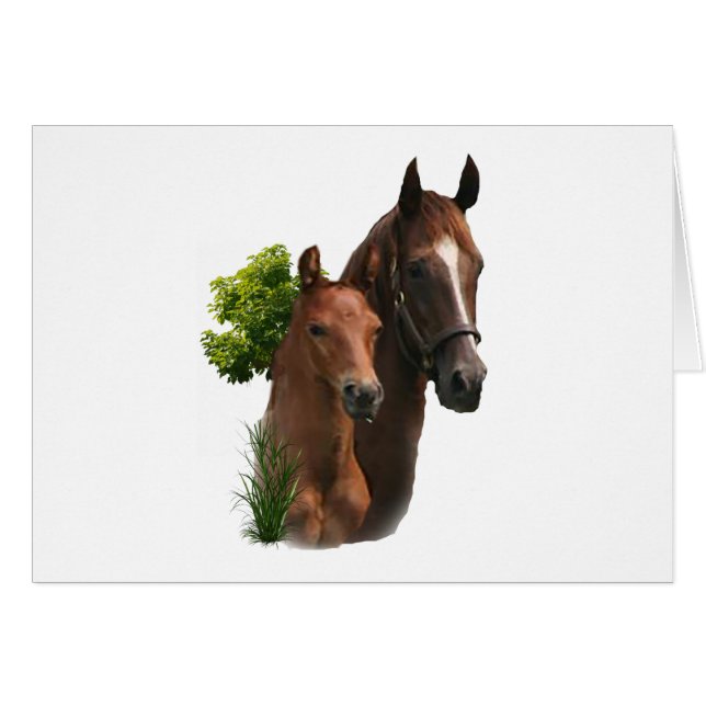 J'aime les chevaux (Devant horizontal)