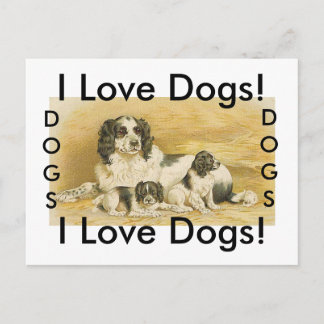 J'aime les chiens carte postale