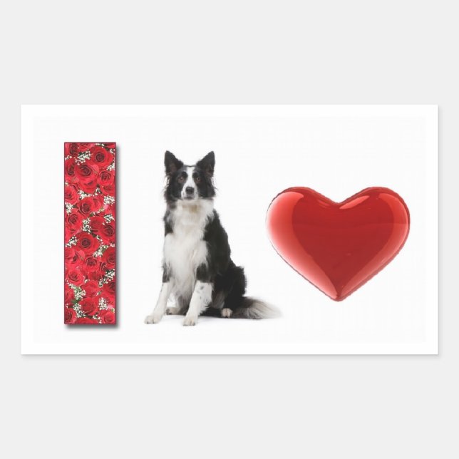 J'Aime Les Collies Frontaliers ! ! Sticker Collie  (Devant)