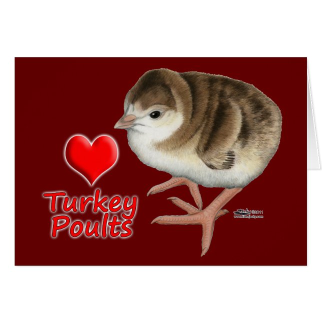 J'Aime Les Volets De Turquie ! (Devant Horizontal)