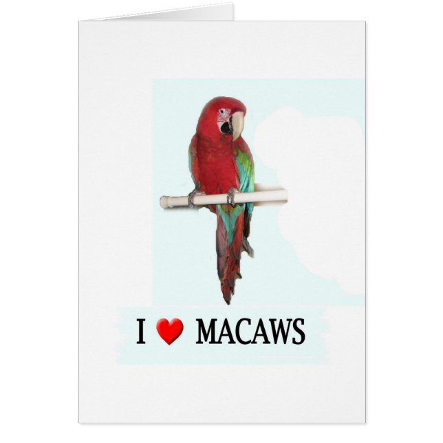 J'aime Macaws (Devant)