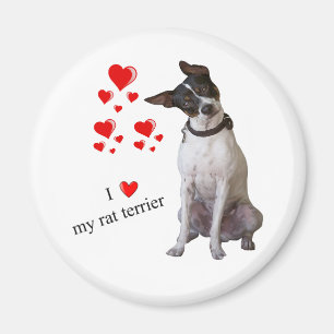 J'aime mon aimant de Rat terrier