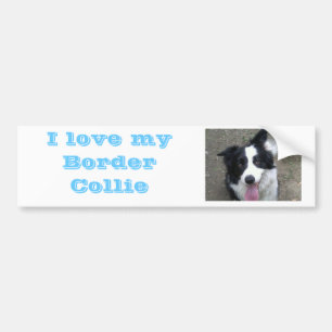 J'aime mon autocollant de border collie Bumber