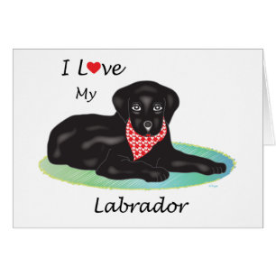 J'aime mon Labrador