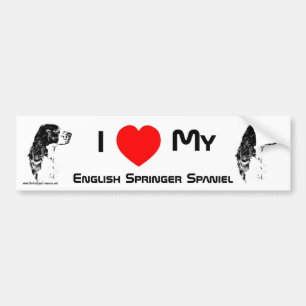J'Aime Mon Sticker Spaniel Springer Anglais