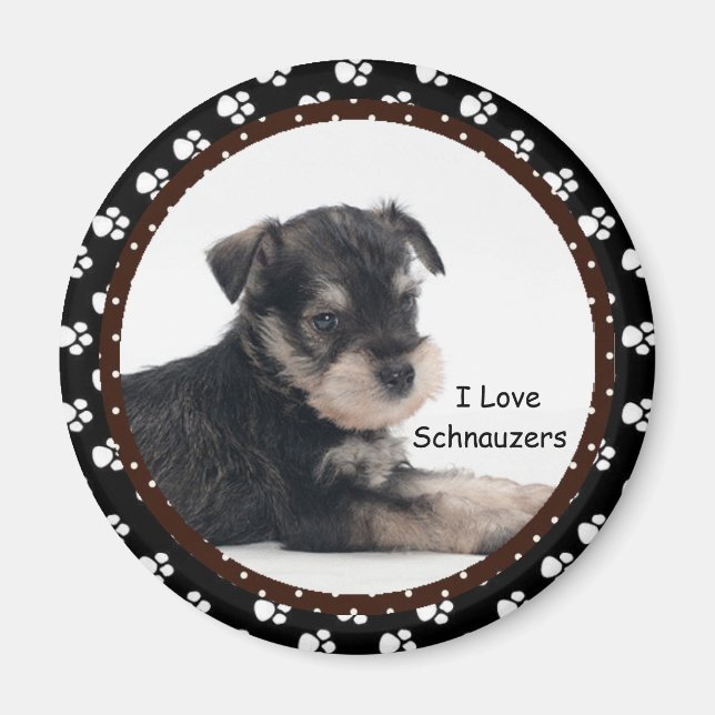 J'aime Schnauzers Magnet (Devant)