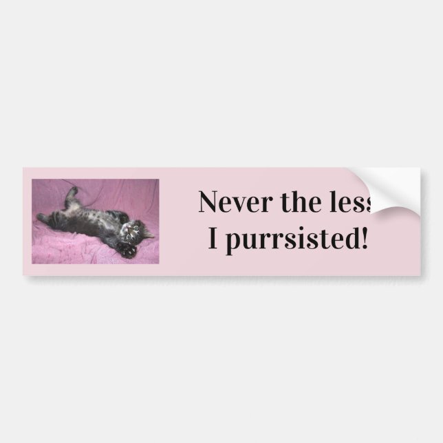 Jamais moins que je n'ai acheté Bumper Sticker (Devant)