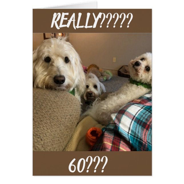 **JAMAIS NE VOUS AURAIT INVITÉ** VOUS NE POUVEZ PA (Devant)