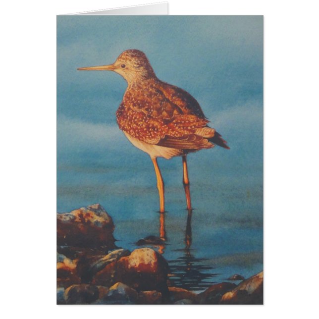 Jambes jaunes (Devant)