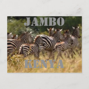 Jambo Kenya Zebra Migration Safari cartes postales
