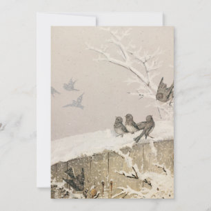 Janvier II   Ponts Fidelia