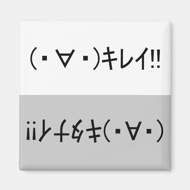Japanese ASCII Art「キレイ!」&「キタナイ!」dishwasher magnet (Devant)