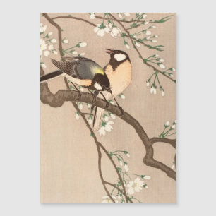 Japonais Asiatique Koson Bird Chickadee Songbird