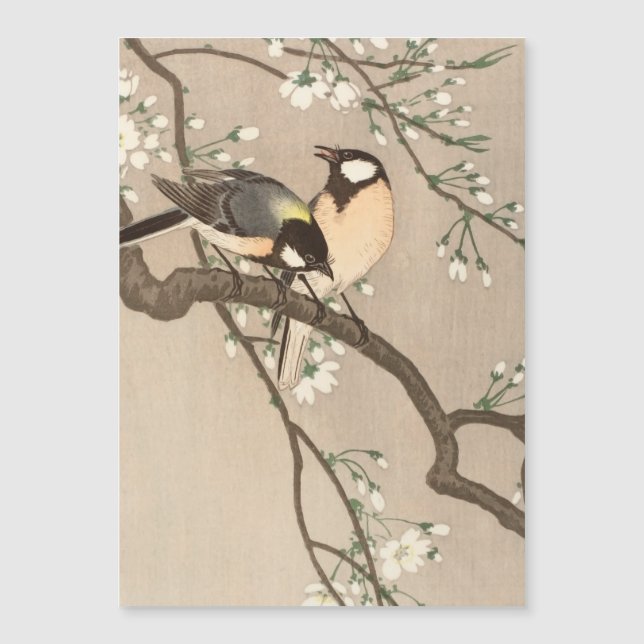 Japonais Asiatique Koson Bird Chickadee Songbird (Devant)