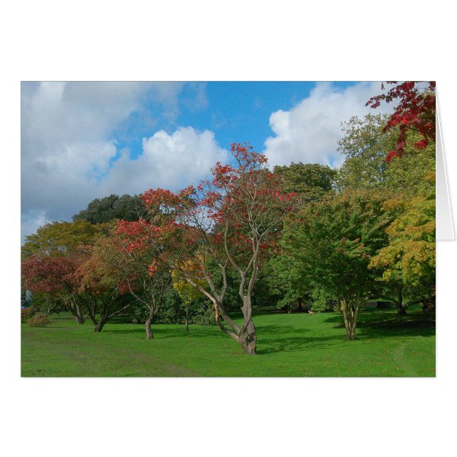 Japonais, Bute Park, Cardiff. (Devant horizontal)