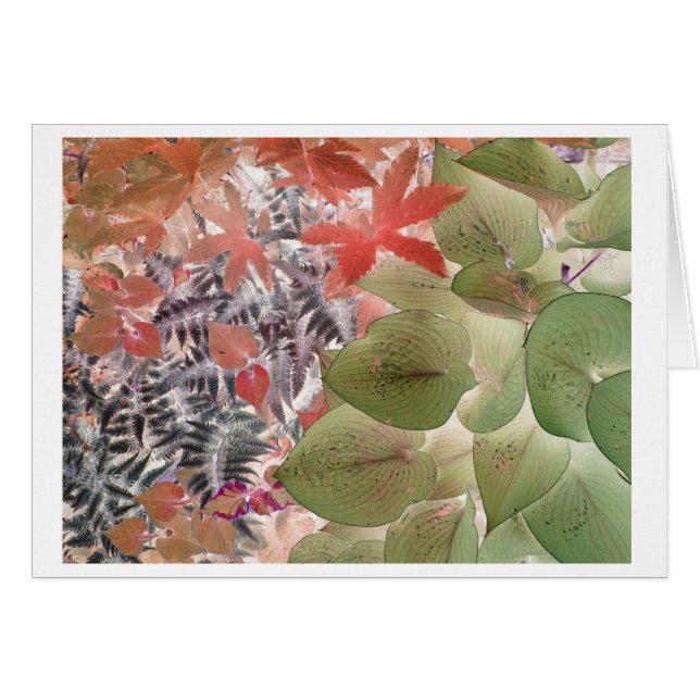 Jardin 9 (Devant horizontal)