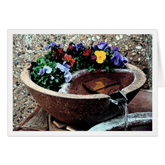 Jardin aquatique (Devant horizontal)