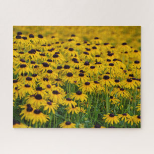 Jardin aux fleurs - 16x20 - 520 pcs Jigsaw Puzzle
