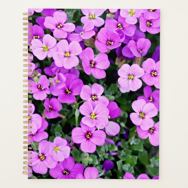 Jardin aux fleurs violettes (Devant)