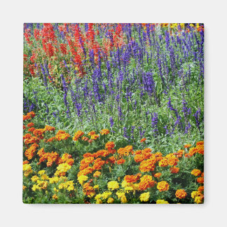 Jardin Beauté Fleur Magnet de photographie