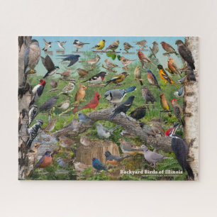 Jardin Birds of Illinois Puzzle