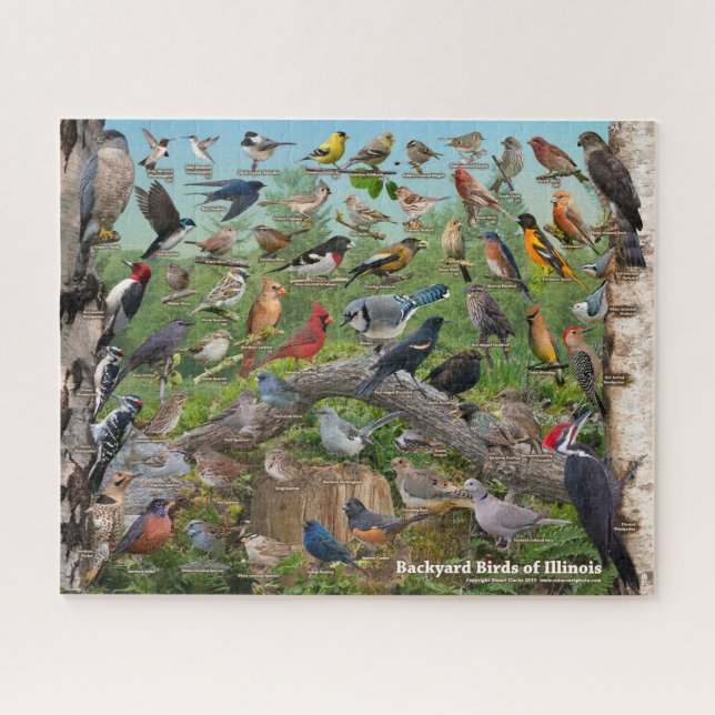Jardin Birds of Illinois Puzzle (Horizontal)