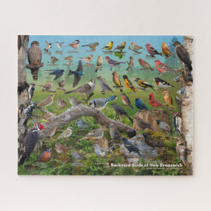 Jardin Birds of New Brunswick Puzzle