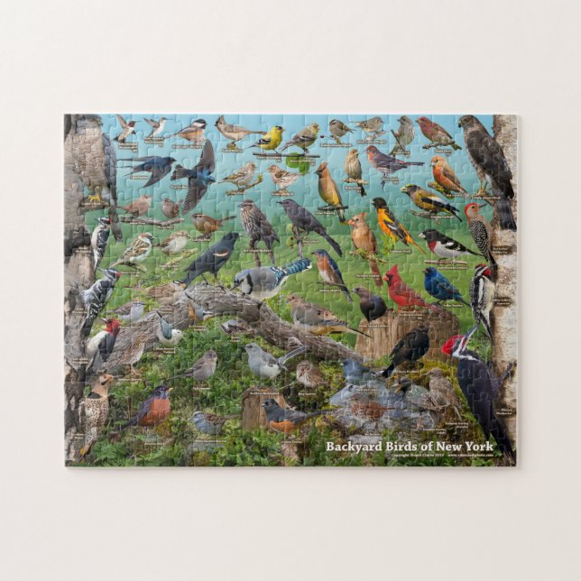 Jardin Birds of New York Puzzle (Horizontal)