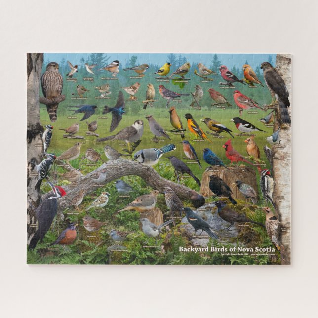 Jardin Birds of Nova Scotia Puzzle (Horizontal)