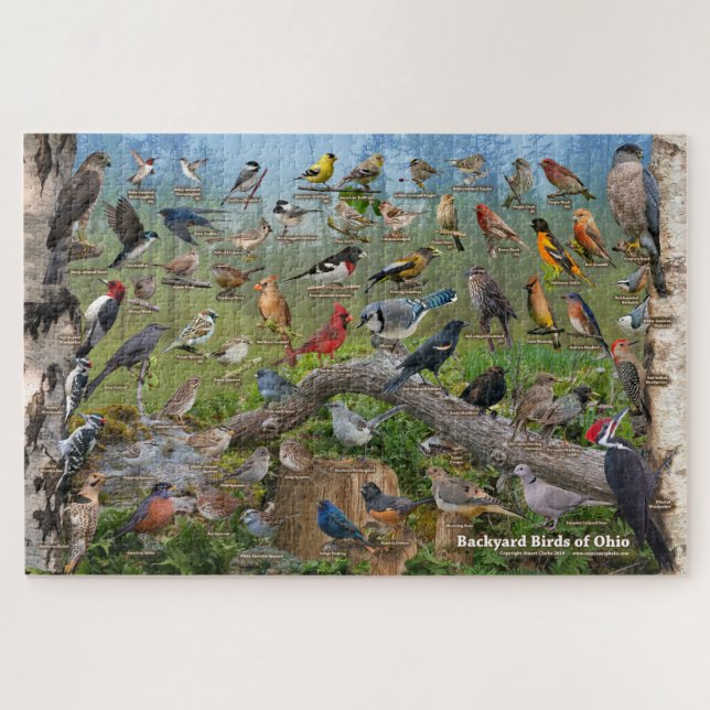 Jardin Birds of Ohio Puzzle (Horizontal)