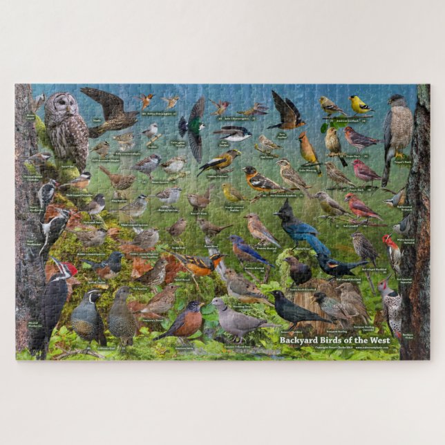 Jardin Birds of the West Puzzle (Horizontal)