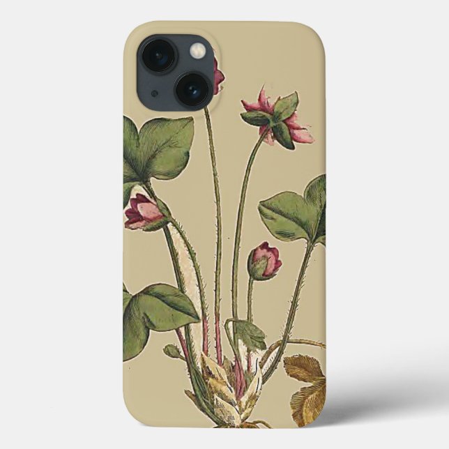 Jardin botanique fleuri iPhone 6 Coque (Verso)