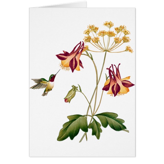 Jardin botanique vintage de colibri doux (Devant)