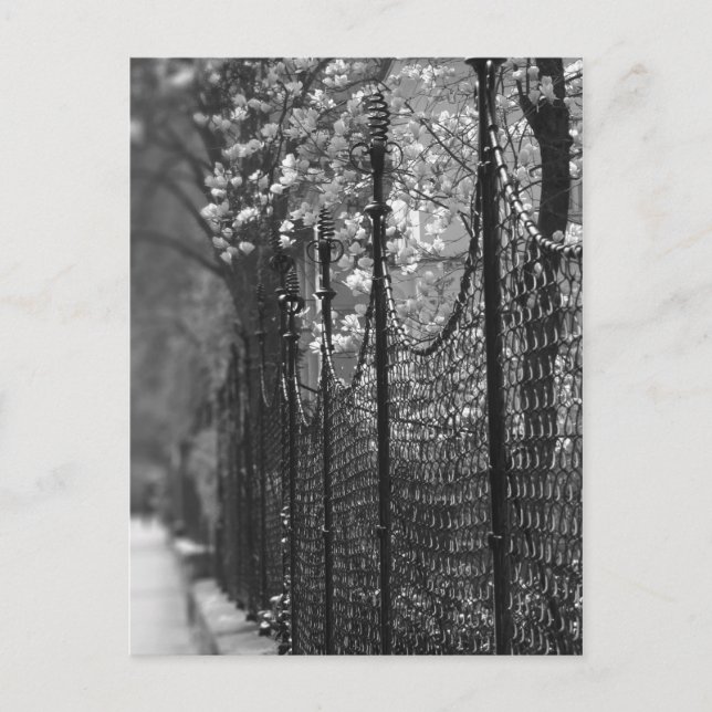 Jardin clôturé Carte postale (Devant)