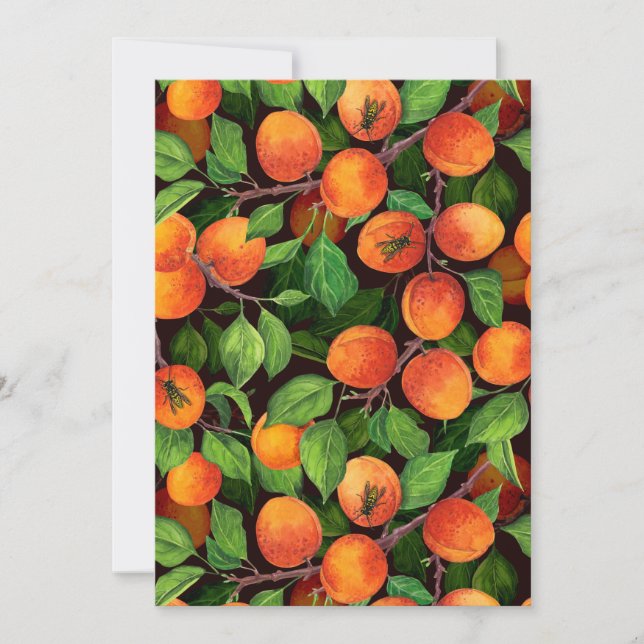 Jardin d'abricot 1 (Devant)