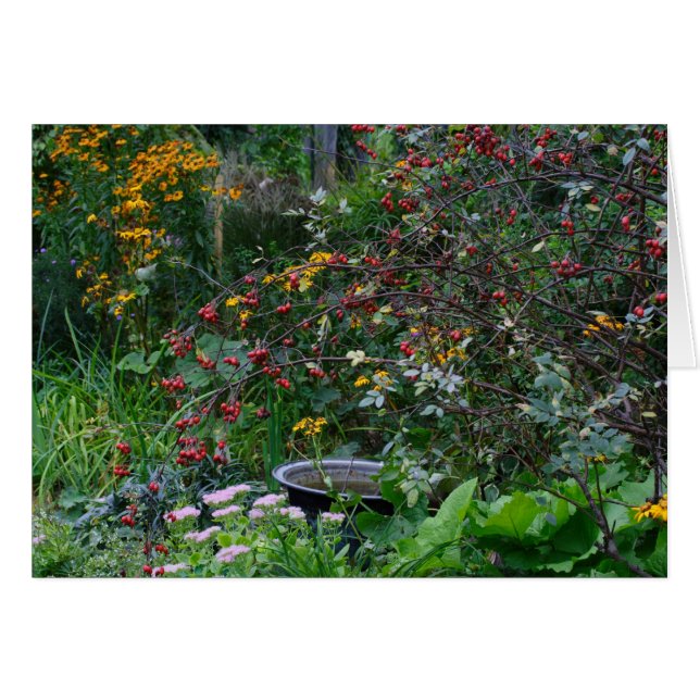 Jardin d'automne (Devant horizontal)