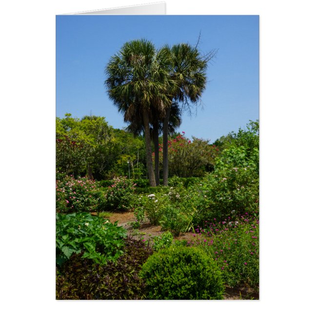 Jardin de Boone Hall (Devant)
