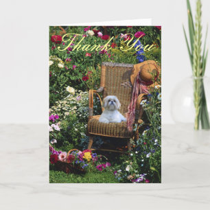 Jardin de carte de remerciements de Shih Tzu