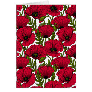 Jardin de coquelicots rouges 2