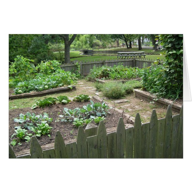 Jardin de cuisine II (Devant horizontal)